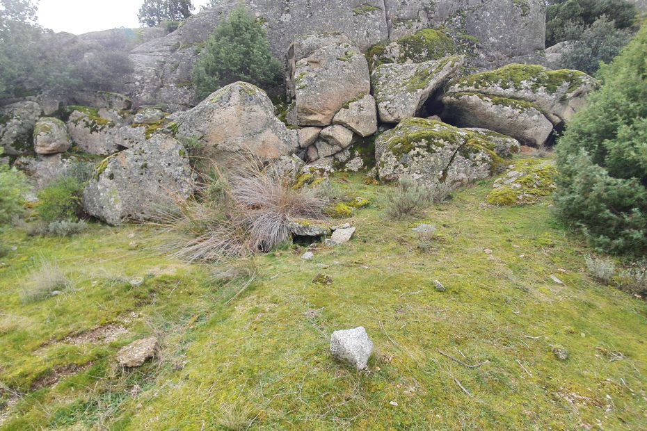 Fuente pajarilla