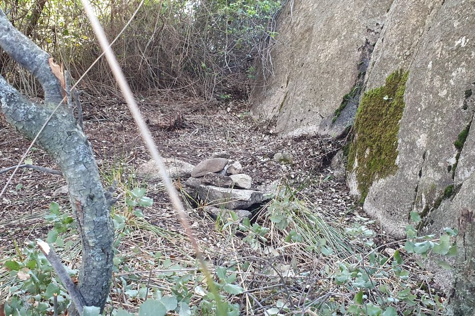 Fuente del moro