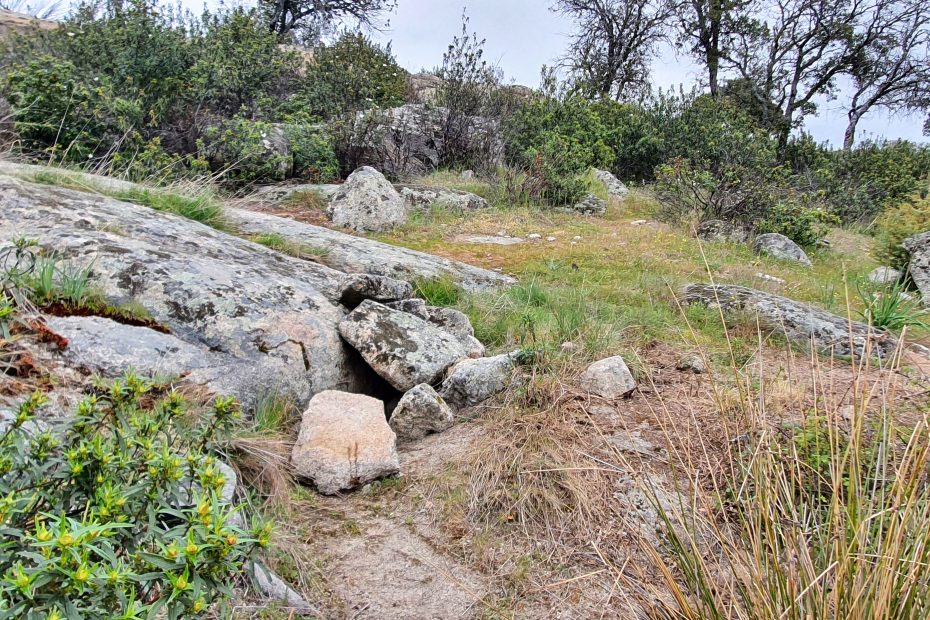 Fuente monte ejido