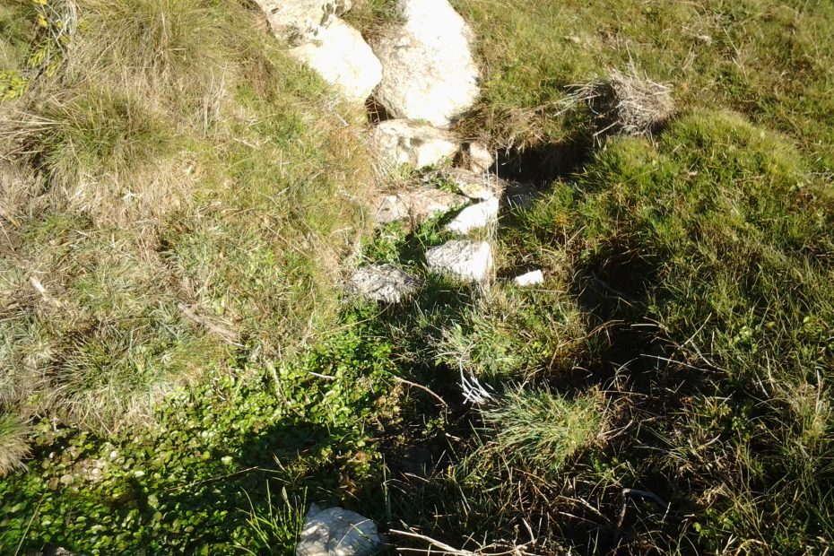 fuente cuesta la tolla